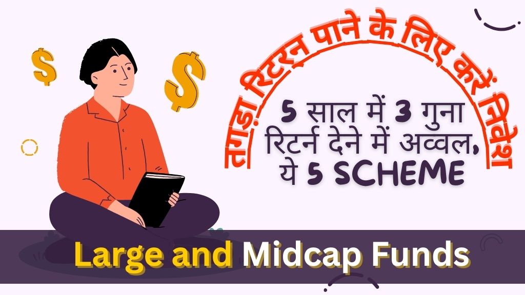 Large and Midcap Funds 2024